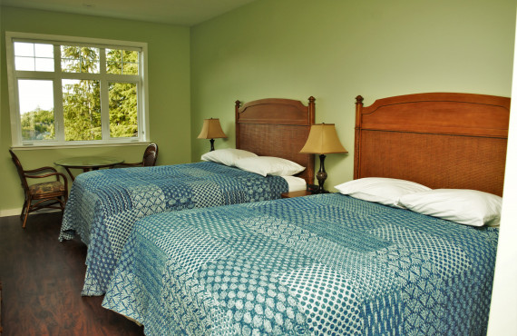 Room Room
